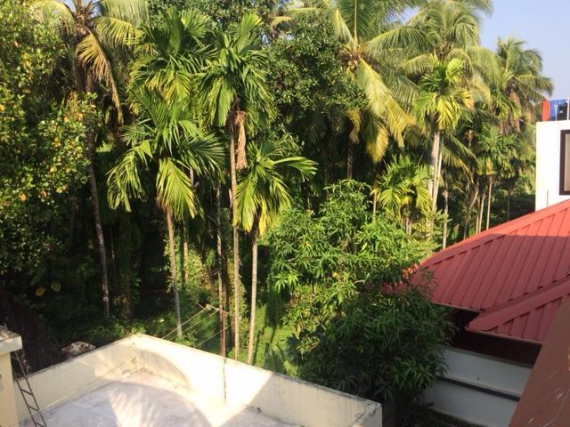 Greenview Homestay Kochi Esterno foto